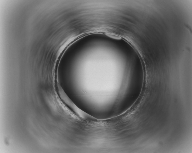 X0000100970949200807011417