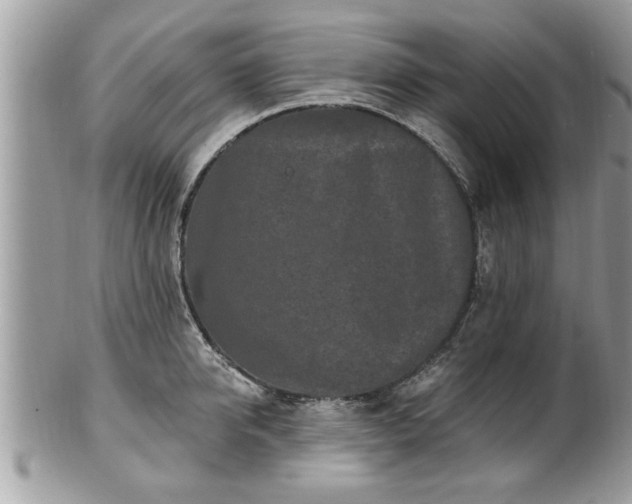 X0000100970950200807011417