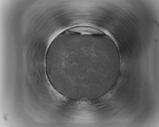 X0000100970951200807011417