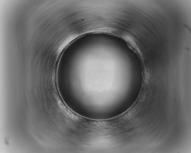 X0000100970952200807011417