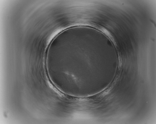 X0000100970958200807011418