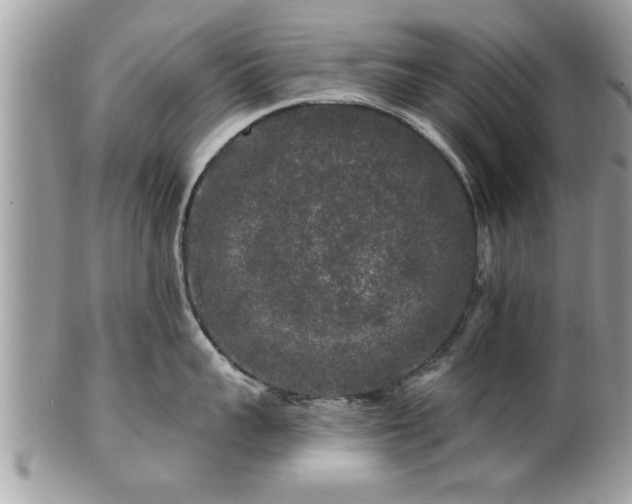 X0000100970959200807011418