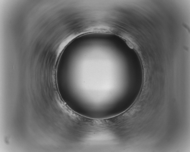X0000100970960200807011418