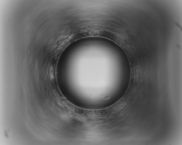 X0000100970962200807011417