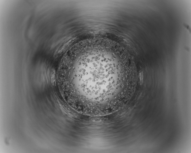X0000100970963200807011417