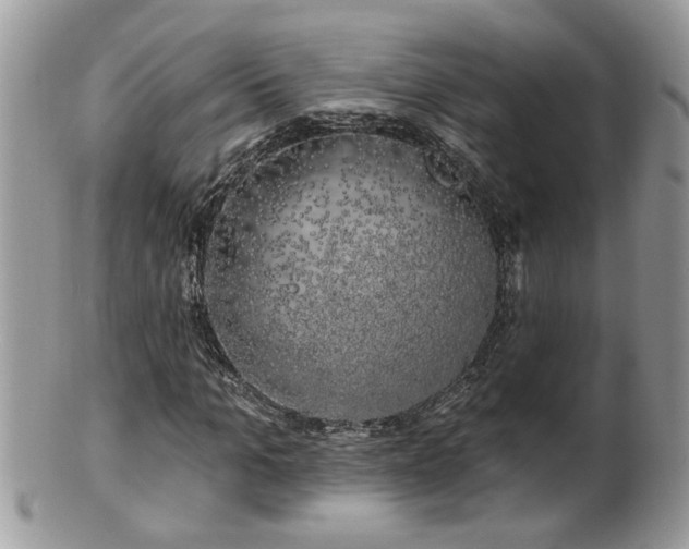 X0000100970965200807011417