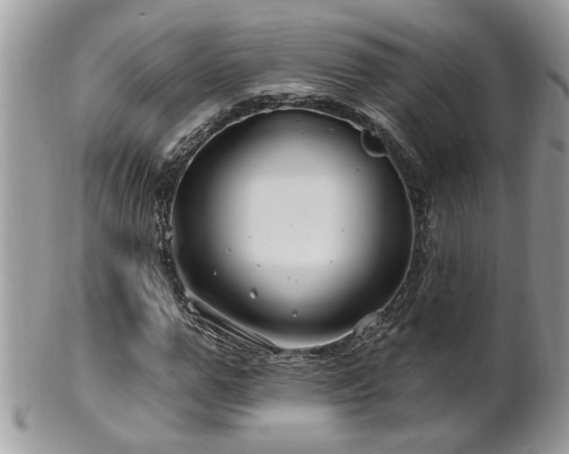 X0000100970967200807011417