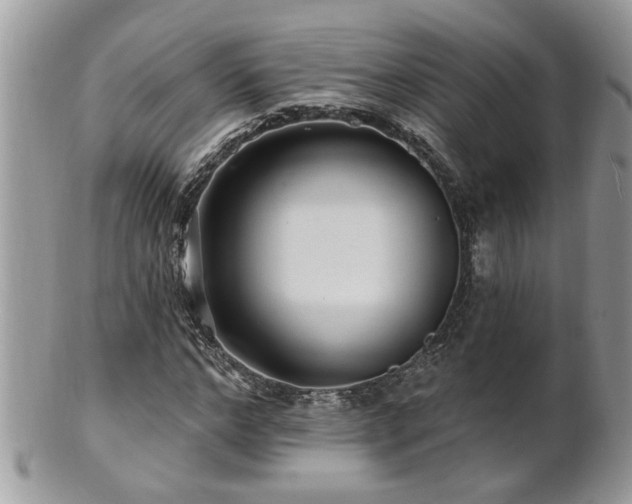 X0000100970968200807011417