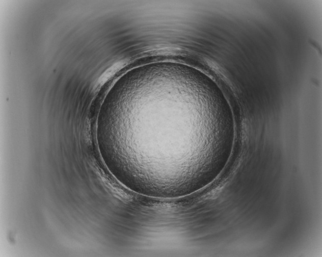 X0000100970970200807011417