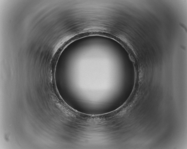 X0000100970973200807011417