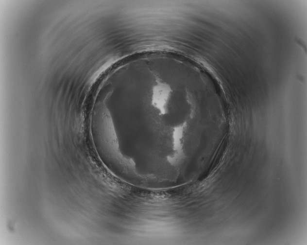 X0000100970975200807011417