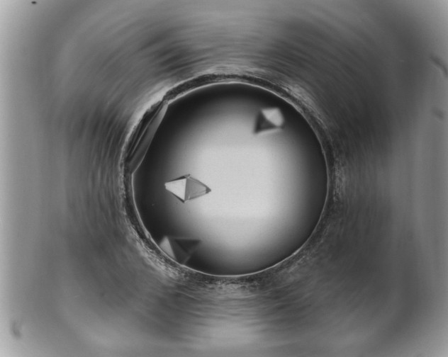 X0000100970976200807011417