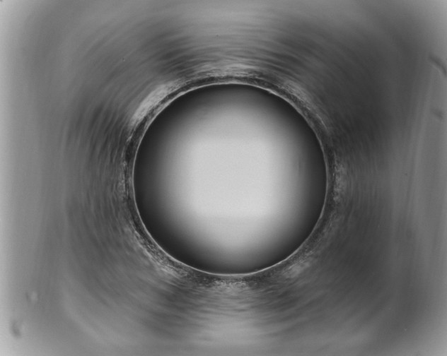 X0000100970978200807011417