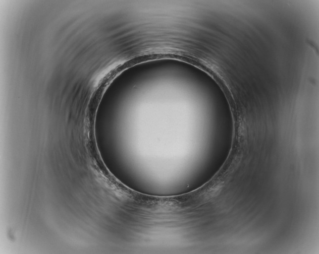 X0000100970979200807011417