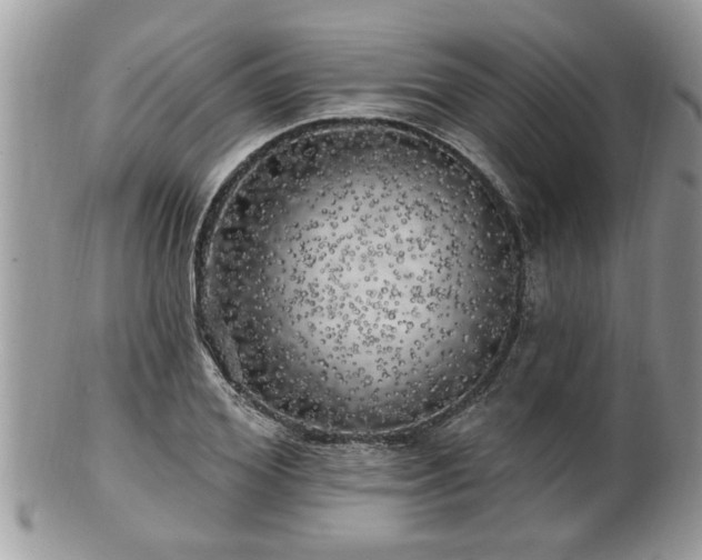 X0000100970980200807011417