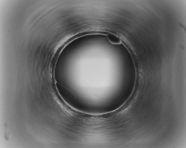 X0000100970981200807011417