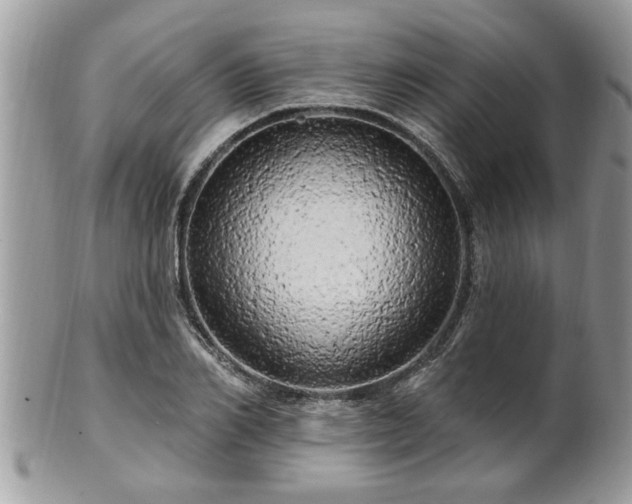 X0000100970982200807011417