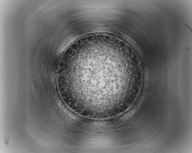 X0000100970985200807011417