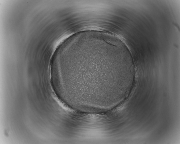 X0000100970987200807011417