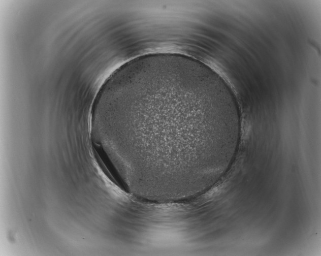 X0000100970988200807011417