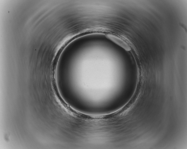 X0000100970989200807011417