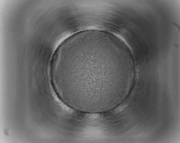 X0000100970991200807011417