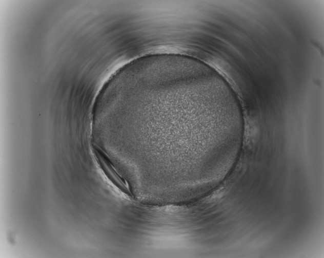 X0000100970992200807011417
