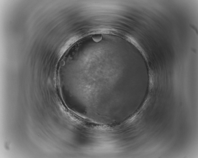 X0000100970994200807011416