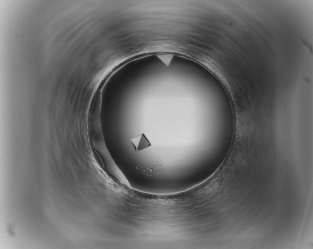 X0000100970996200807011416