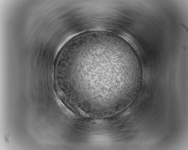 X0000100971000200807011416