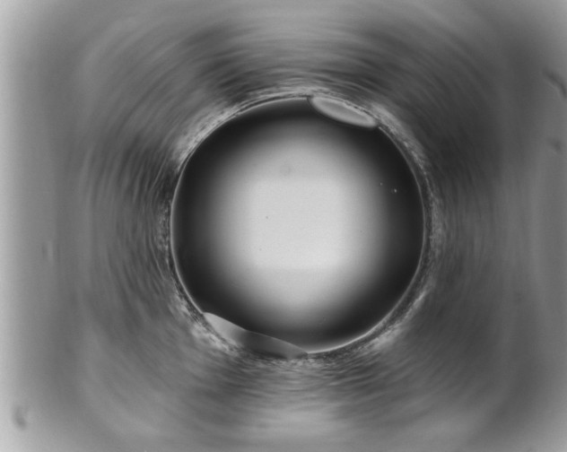 X0000100971001200807011416