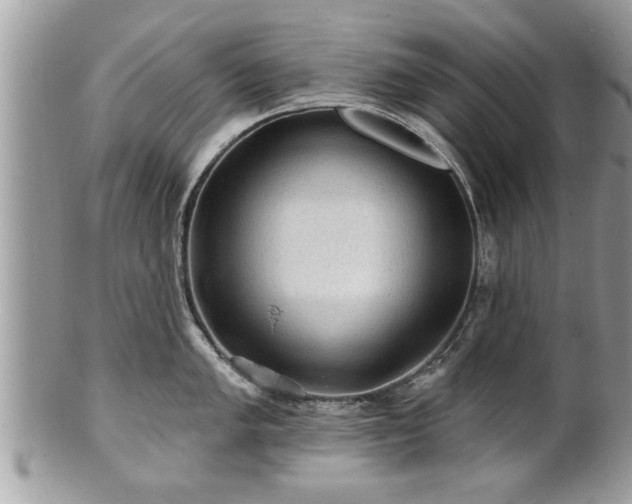 X0000100971005200807011416