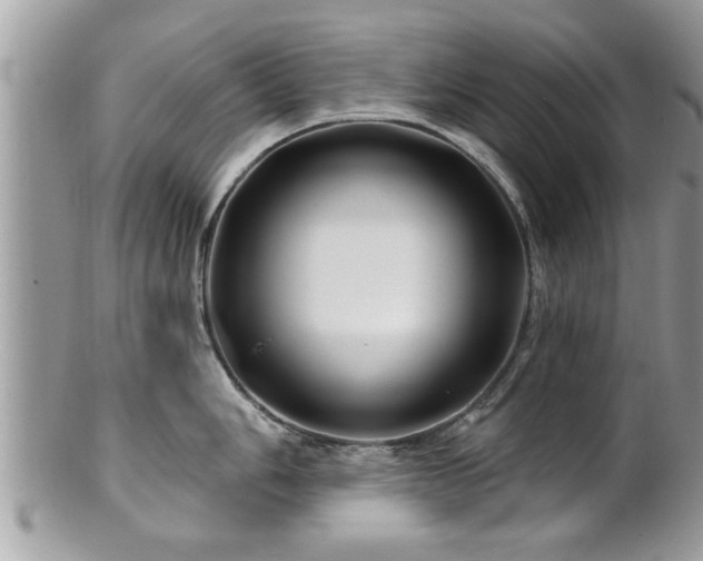 X0000100971006200807011416