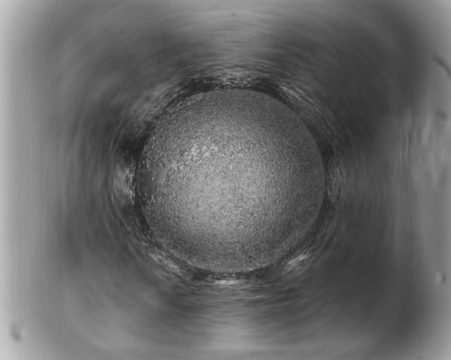 X0000100971010200807011415