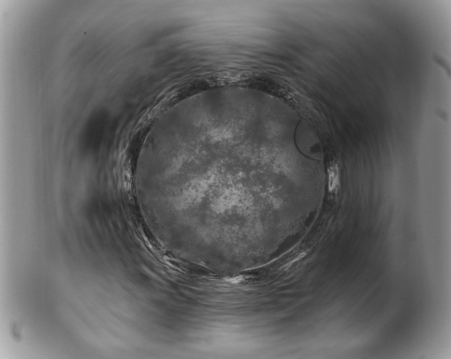 X0000100971011200807011415