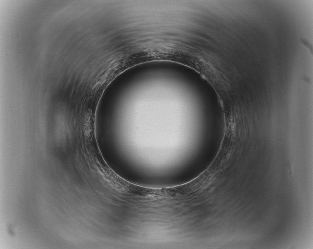 X0000100971012200807011415