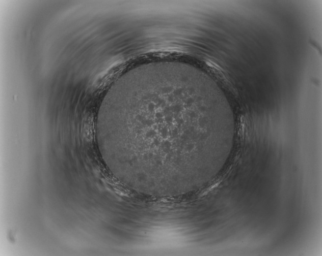 X0000100971014200807011416