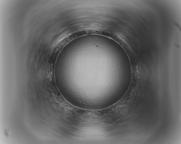 X0000100971015200807011416