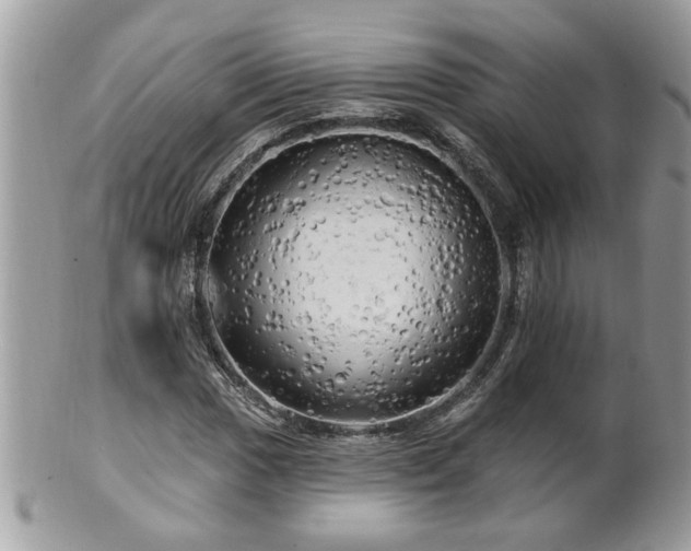 X0000100971017200807011416