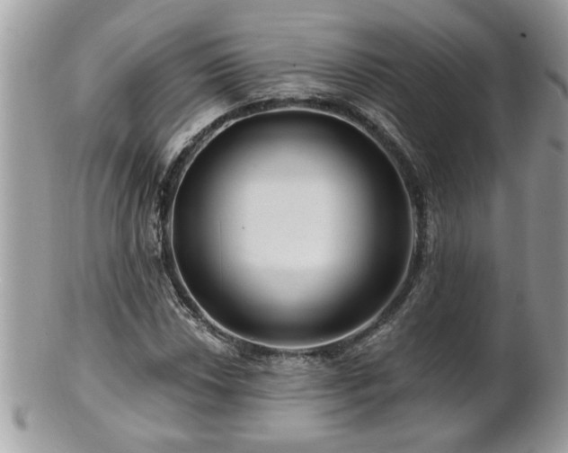 X0000100971018200807011416