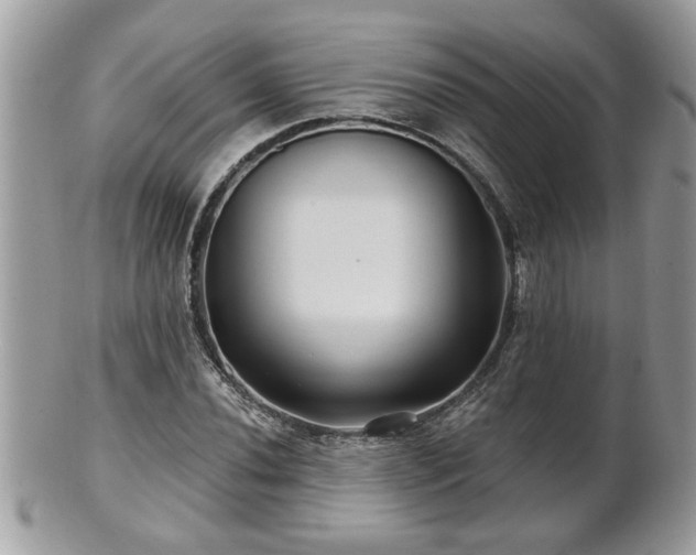 X0000100971020200807011416