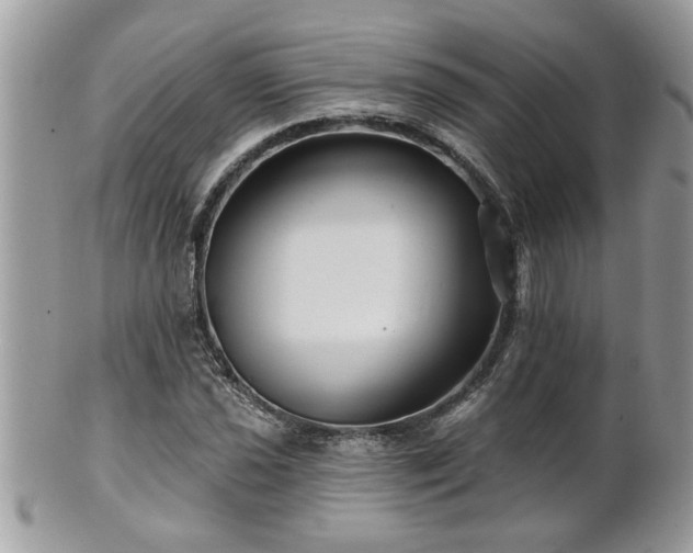 X0000100971021200807011416