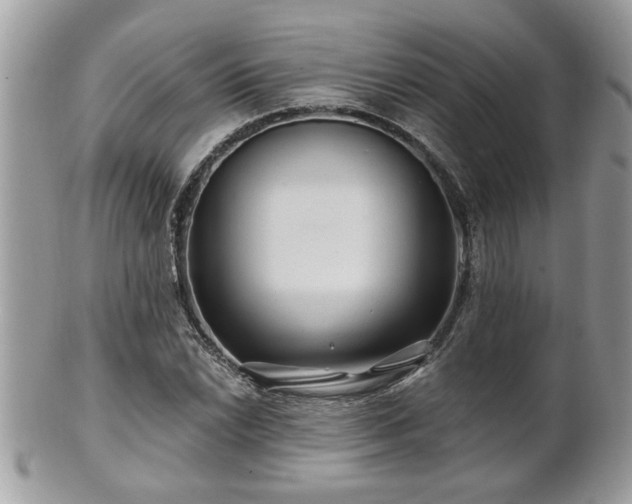 X0000100971022200807011416
