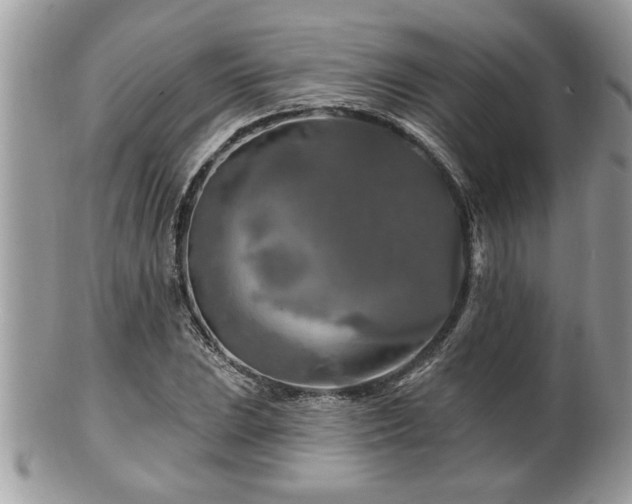 X0000100971023200807011416