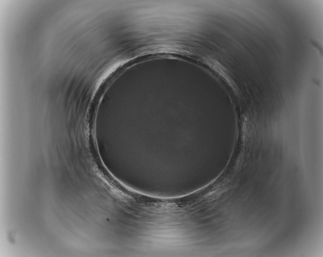 X0000100971024200807011416