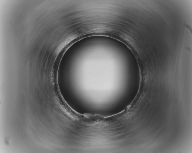 X0000100971026200807011416