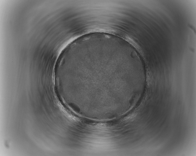 X0000100971028200807011416