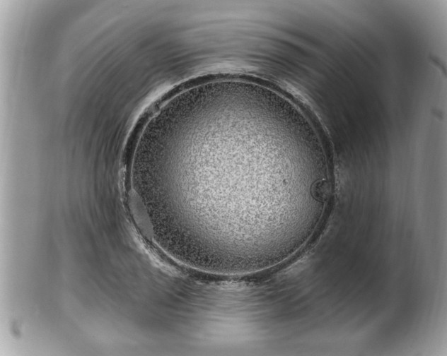 X0000100971029200807011416