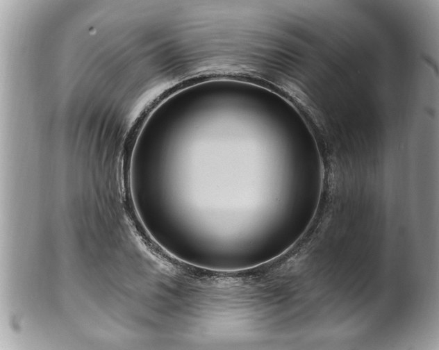 X0000100971030200807011416