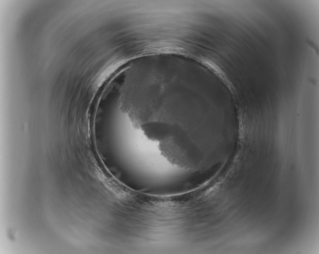 X0000100971031200807011416
